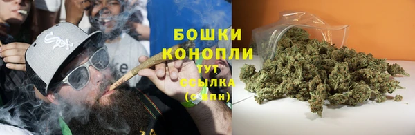 дмт Зеленокумск