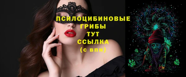 эйфоретик Зерноград