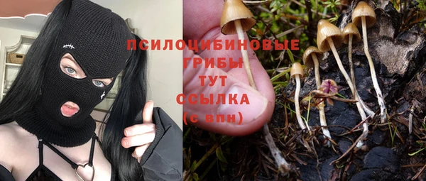 a pvp Заволжск