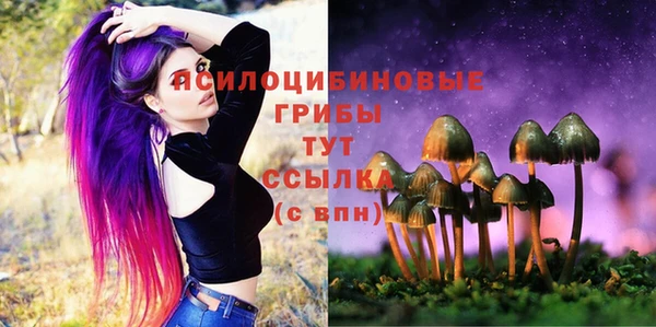 скорость Заводоуковск
