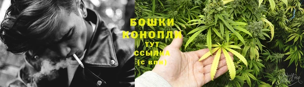 эйфоретик Зерноград