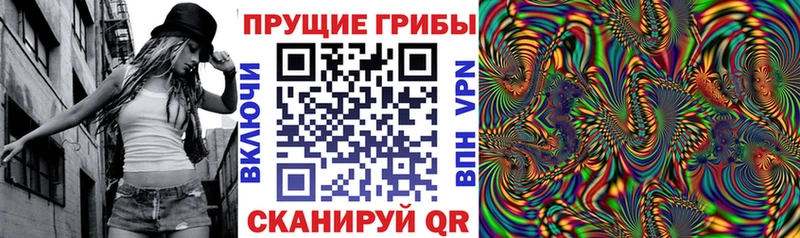 Галлюциногенные грибы GOLDEN TEACHER  Артём 