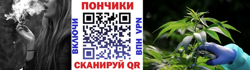 Бошки Шишки семена  Артём 